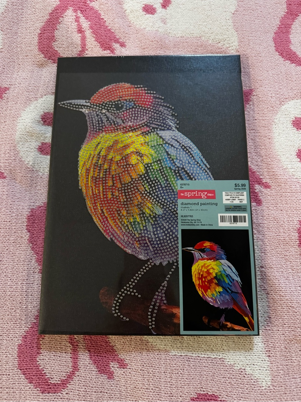 Hobby Lobby Rainbow Bird Diamond Art Painting Art- Multicolor